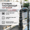01-stolb-1004-foto.jpg