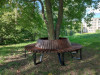6-pod-derevo-88-30.jpg