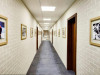 ice-puzzle-8.jpg