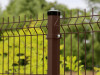 light-cink-1730.jpg
